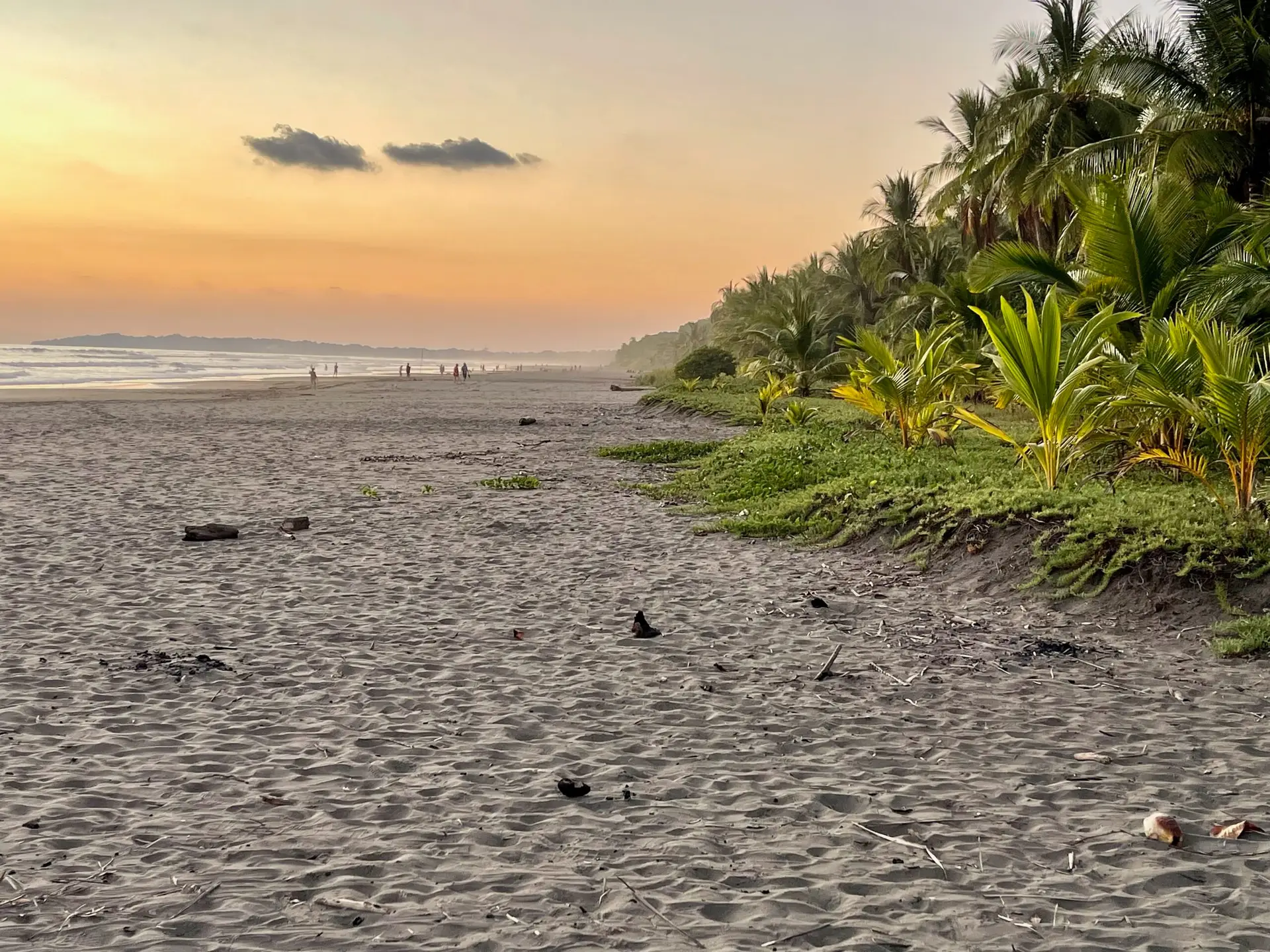 Tour - Hotel - Bed and Breakfast in San Ramon Costa Rica